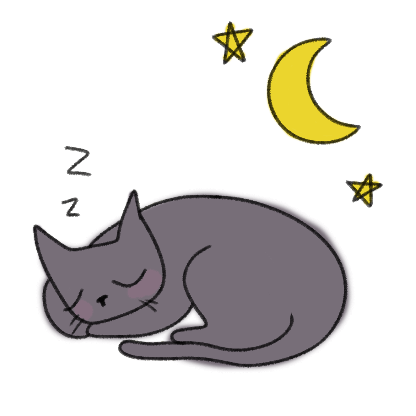 a sleepy cat