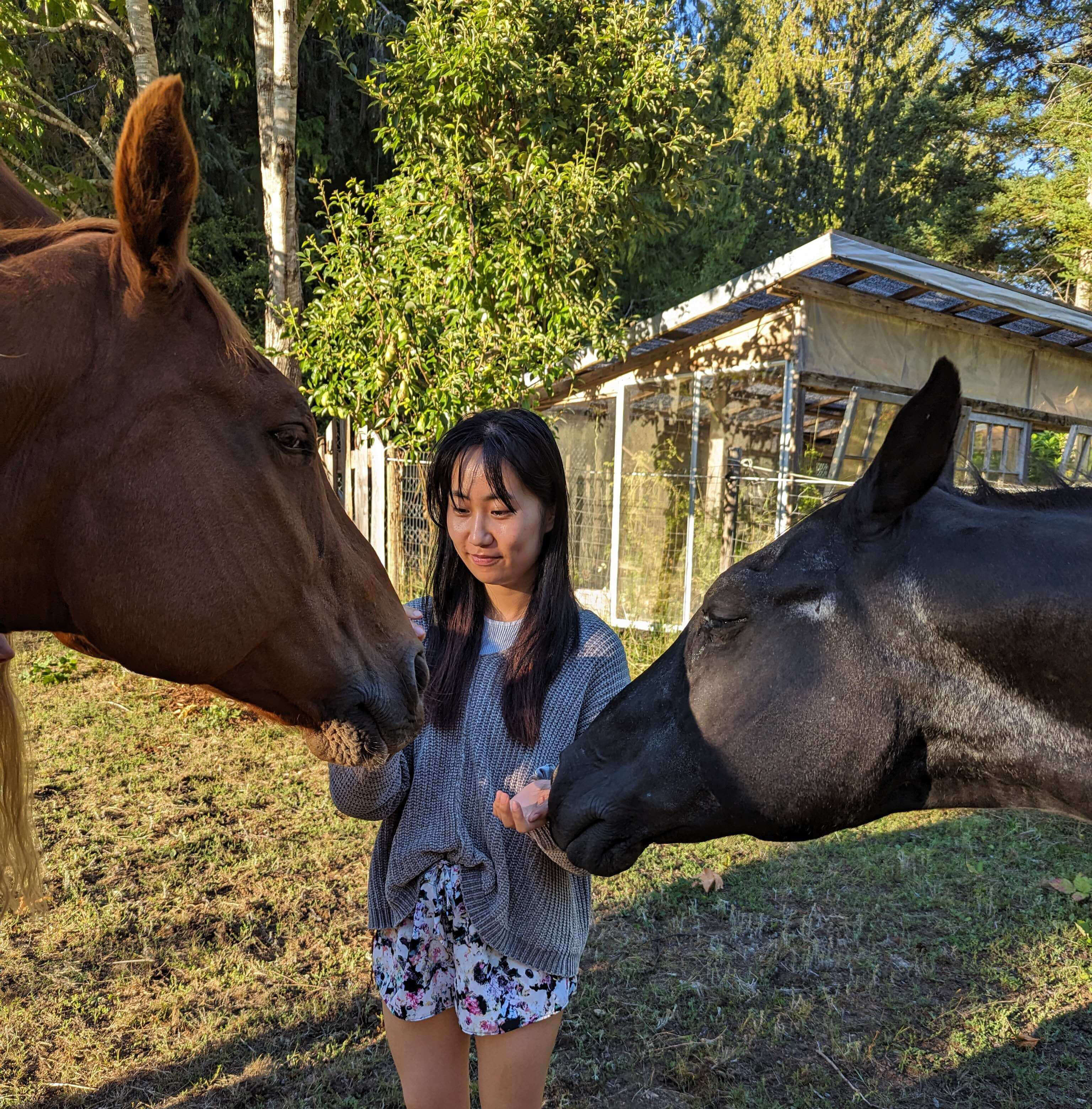 me with horses